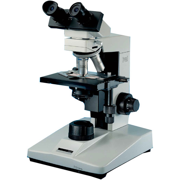 Hund Mikroskop H 600 BS, bino, 100x - 1000x