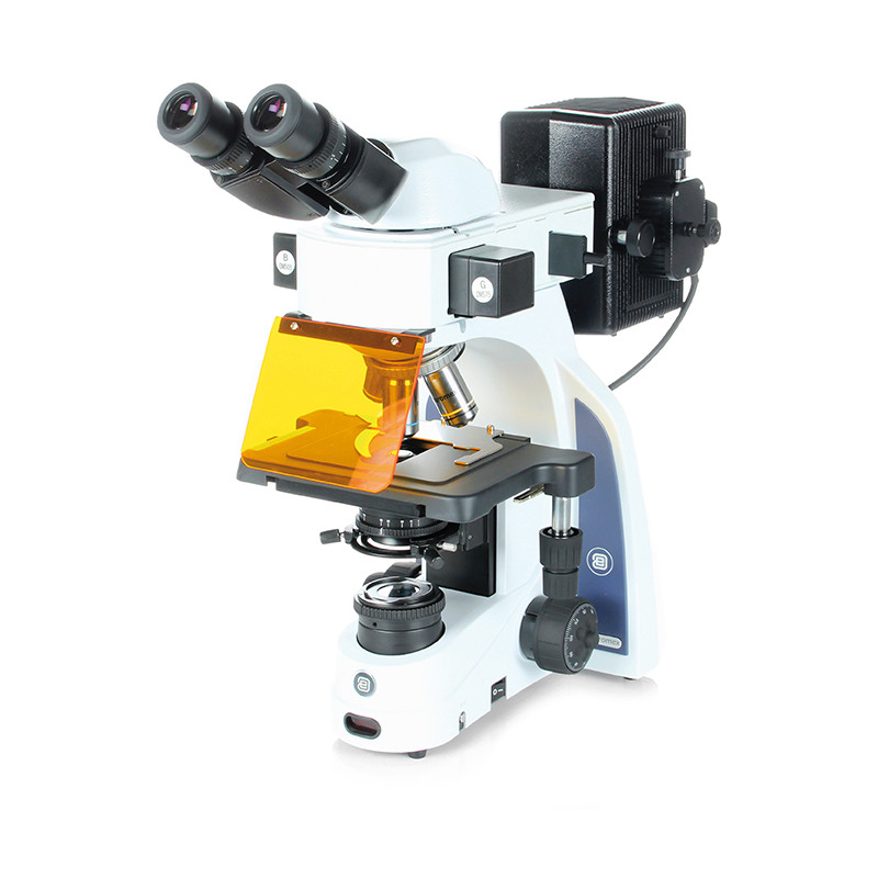 Euromex Mikroskop iScope,  IS.3152-PLFi/3, bino