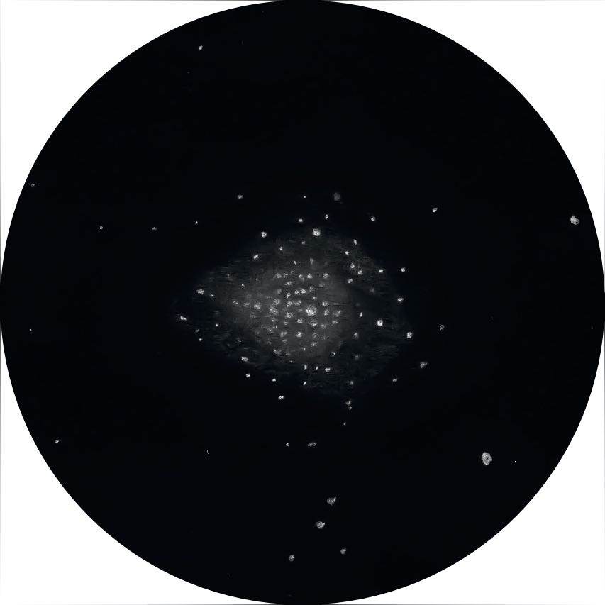 Szkic M71 widocznej przez 14-calowego Newtona przy powiększeniu 114×. Oliver Stein