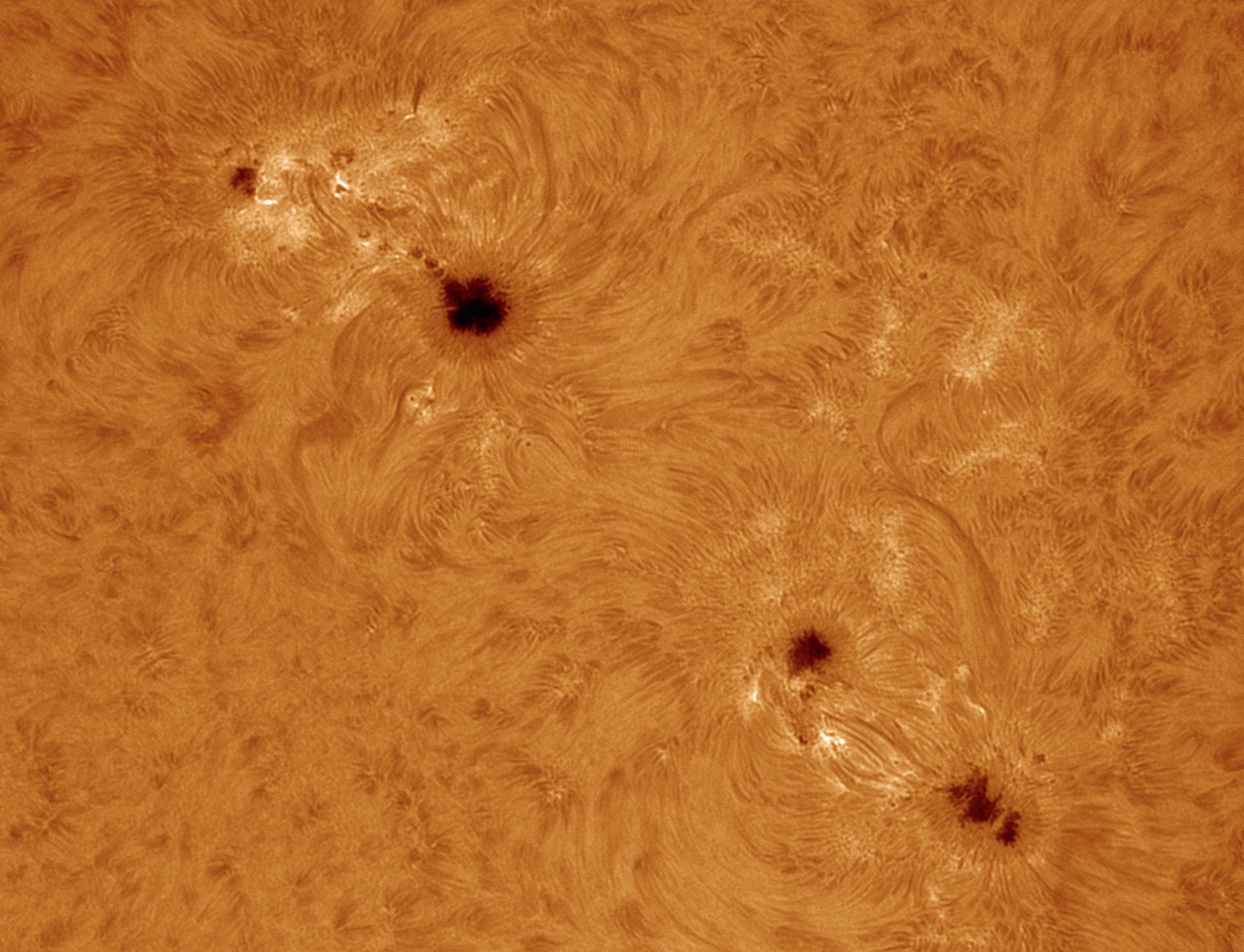 Plamy słoneczne w świetle Hα. Wykonano za pomocą filtra Coronado Solarmax90 na refraktorze o ogniskowej 2000mm i aperturze 90mm; niechłodzona kamera CCD; obróbka 500 z serii 2500 pojedynczych klatek w AviStack2 i Photoshop. U. Dittler