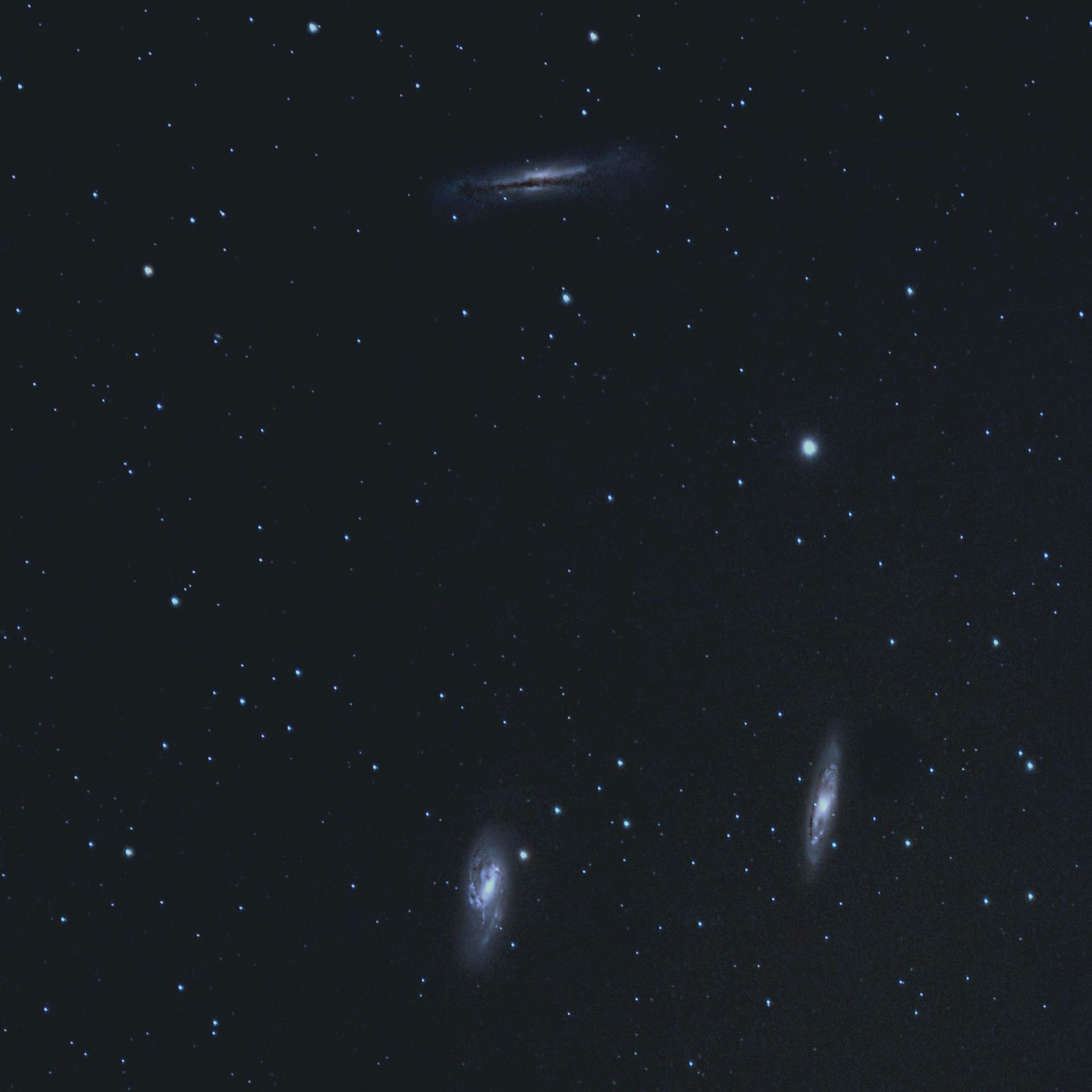 Dwie perełki i wyzwanie: M66 (na dole po lewej), M65 i NGC 3628 (u góry). H. Fischer