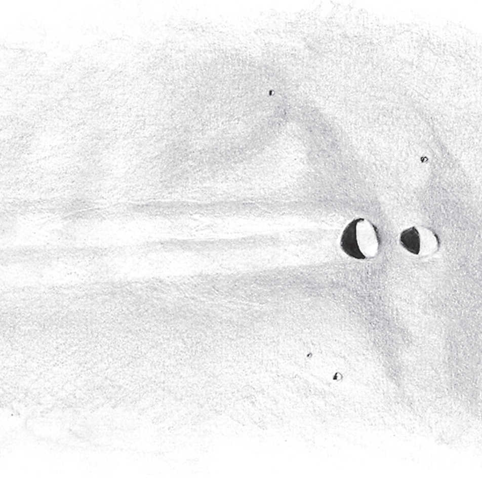 Szkic Messiera i Messiera A w promieniach zachodzącego Słońca widocznych przez teleskop o aperturze 150mm, przy powiększeniu 180×. L. Spix