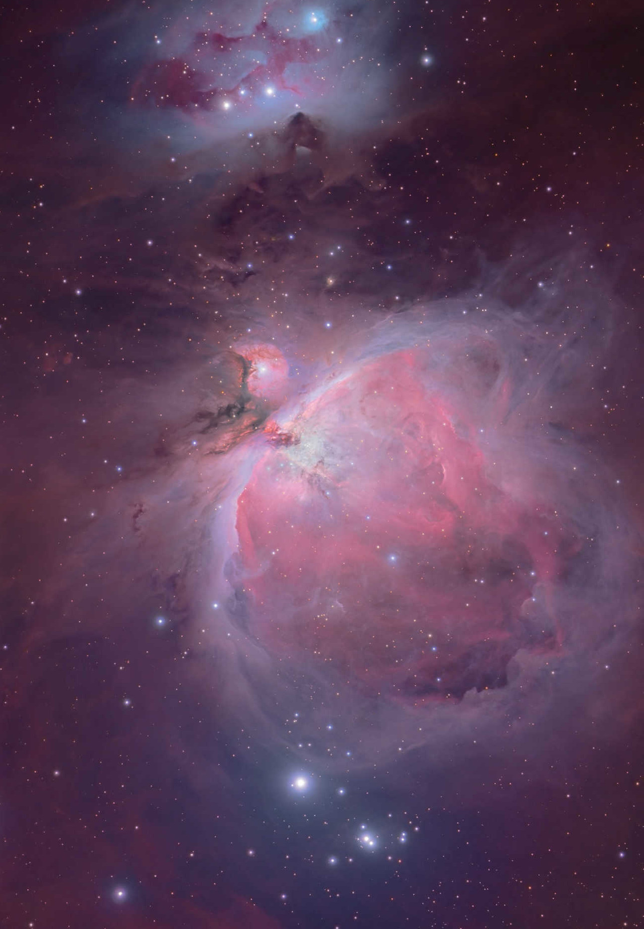 Fantastyczny świat Mgławicy Oriona zachwyci każdego miłośnika astronomii. Mario Weigand