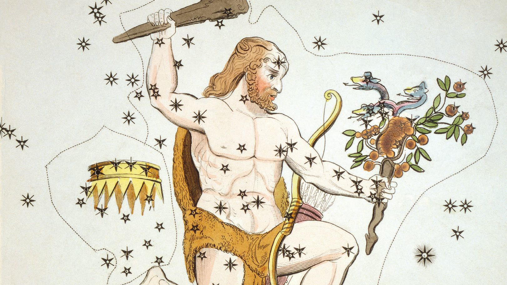 Na ilustracjach historycznych Herkules przedstawiany jest z maczugą w dłoni, w lwiej skórze, oraz ze skradzionymi złotymi jabłkami. 