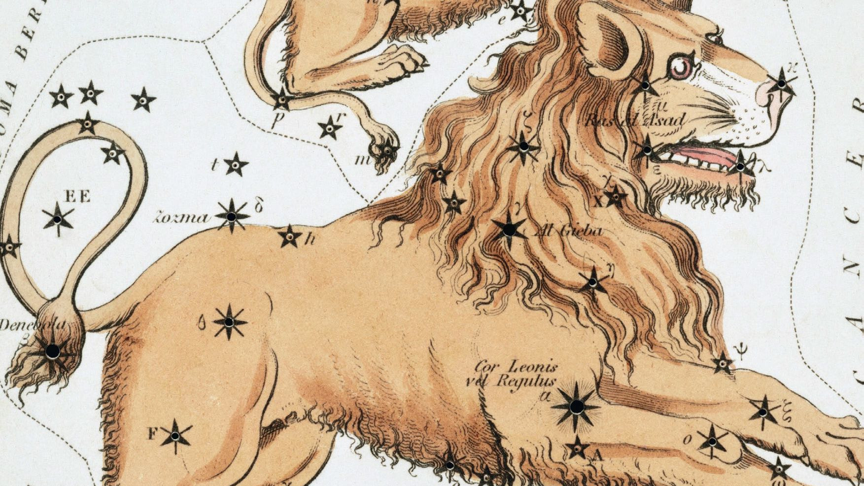 Podczas, gdy obecnie widzimy w tym gwiazdozbiorze kształt żelazka, tysiące lat temu obserwatorzy nieba wyobrażali sobie go jako przyczajonego lwa, którego serce wyznaczała jasna gwiazda Regulus.