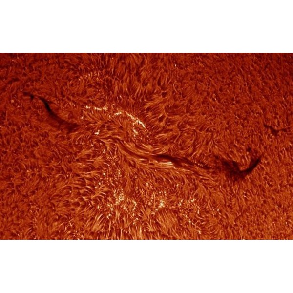 Coronado Sonnenteleskop ST 60/400 SolarMax 60 BF10 <0.5Å OTA