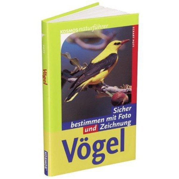 Kosmos Verlag Ptaki. Pewna klasyfikacja za pomocą zdjęcia i rysunku
