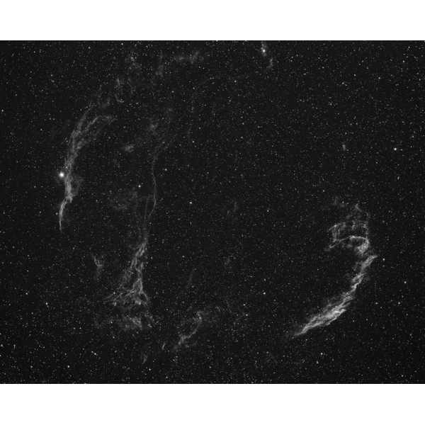 Starlight Xpress Aparat fotograficzny SXVR-H36 CCD-Kamera czarno-biała