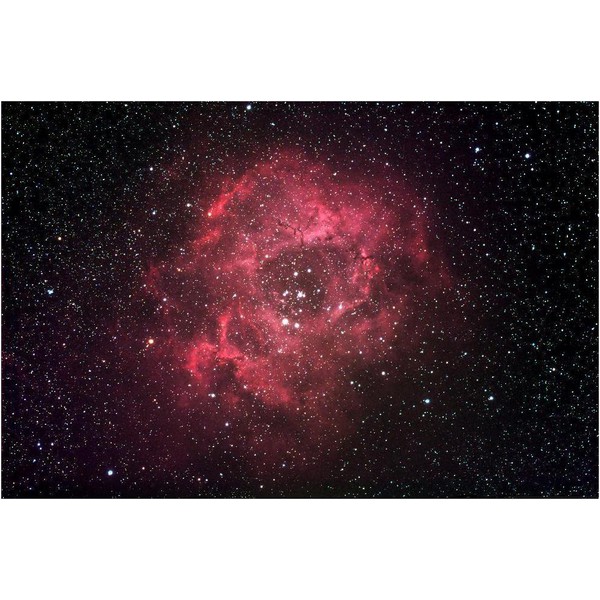 Starlight Xpress Aparat fotograficzny SXVR-M25C CCD-Kamera kolorowa