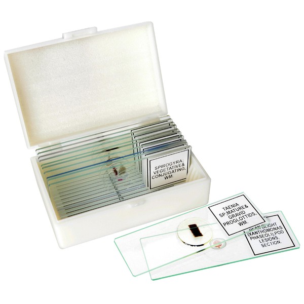 Bresser Zestaw z 12 różnymi preparatami trwałymi