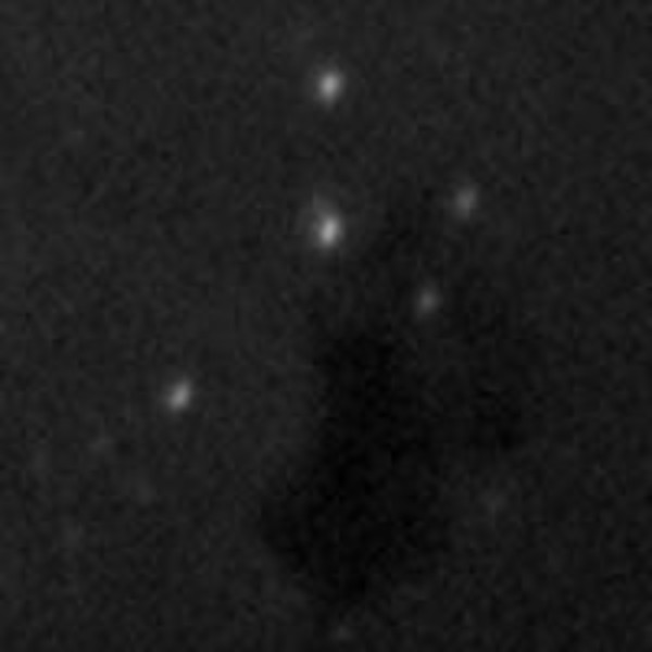Orion Adaptywny guider optyczny SteadyStar (duży format)