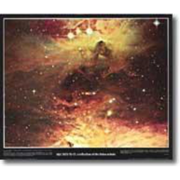 Plakaty A Reflection of the Orion Nebula