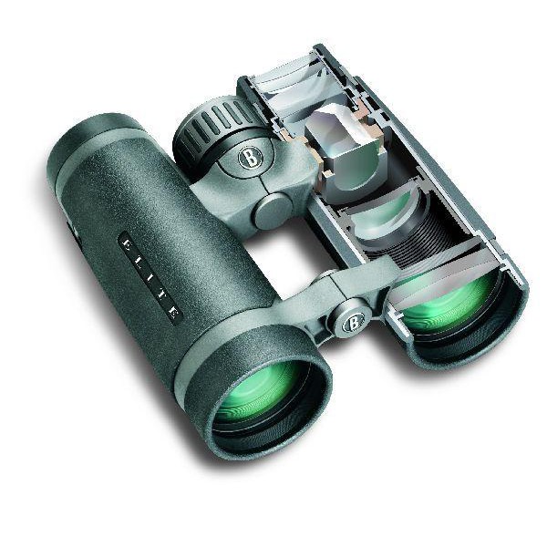 Bushnell Fernglas Elite 8x43