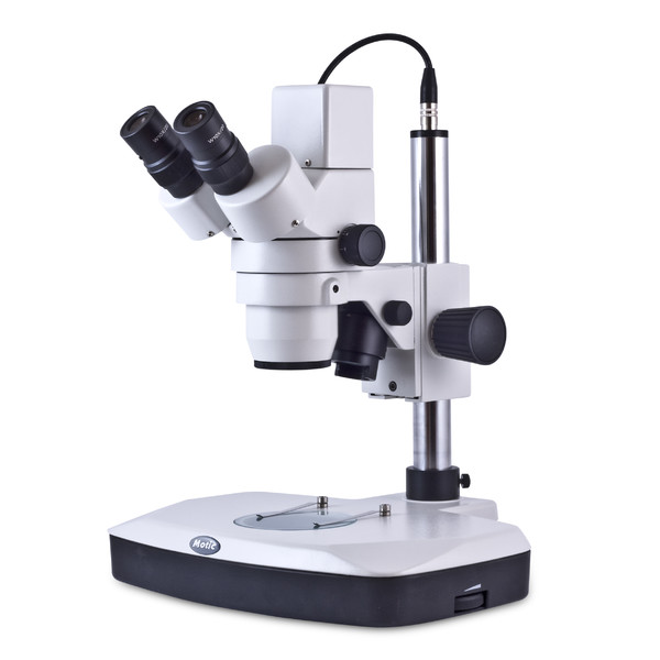 Motic Mikroskop DM-143-FBGG, stereo