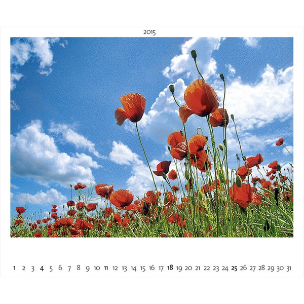 Palazzi Verlag Kalender Naturland Deutschland 2015