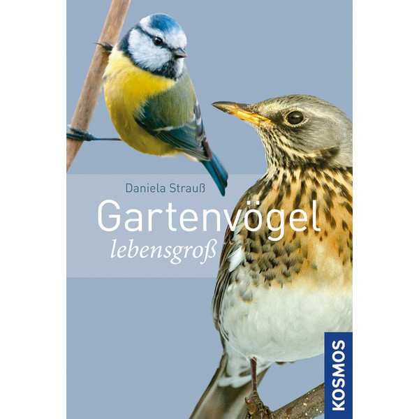 Kosmos Verlag Gartenvögel lebensgroß (Ptaki ogrodowe w skali 1:1)
