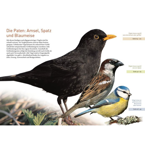 Kosmos Verlag Gartenvögel lebensgroß (Ptaki ogrodowe w skali 1:1)