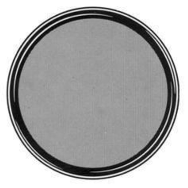 TS Optics Filtr szary 2" transmisja 13%