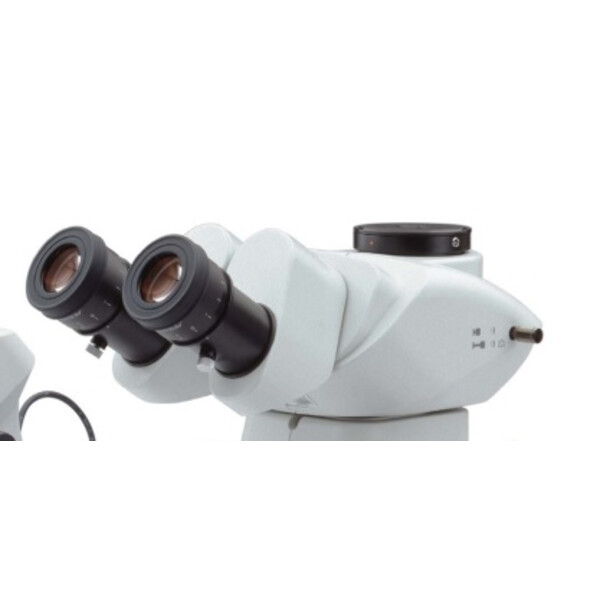 Evident Olympus Mikroskop stereoskopowy zoom SZX7, trino, 0,8x-5,6x, ze światłem przechodzącym