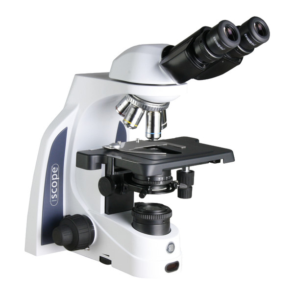 Euromex Mikroskop iScope IS.1152-PLPH, bino