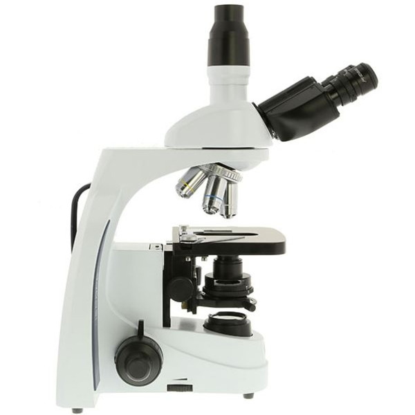 Euromex Mikroskop iScope IS.1153-PLPH, PH, trino, DIN, plan, 100x-1000x, LED, 3W