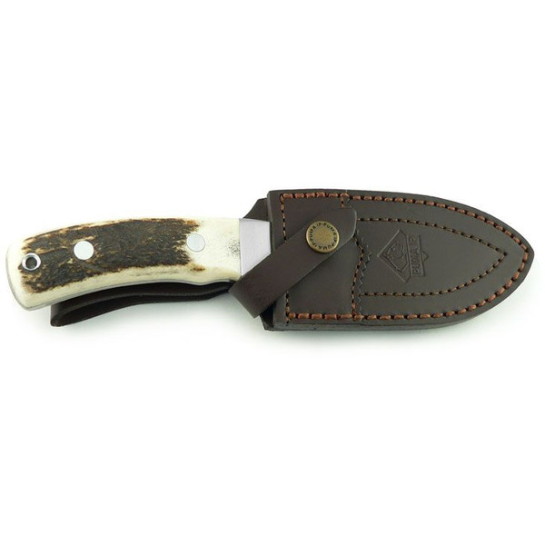 Minox Lornetka Zestaw BL 8x56 HD Dzik