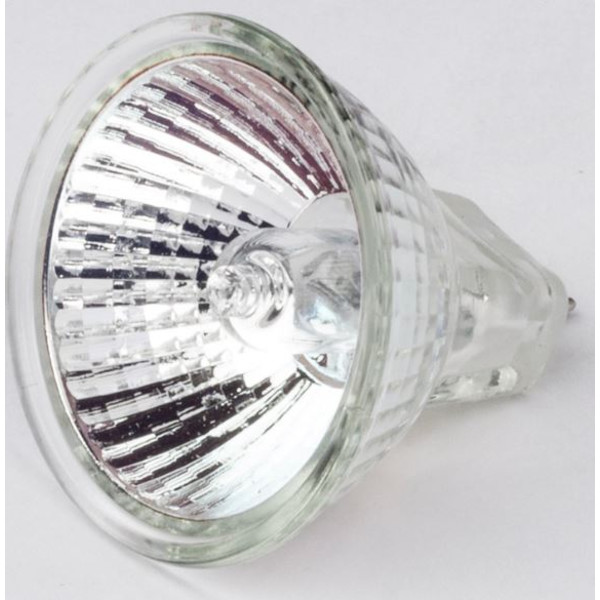 Motic Zamiennik lampy halogenowej 12V/10W do statywu R2GG (światło padające) (SMZ-161)