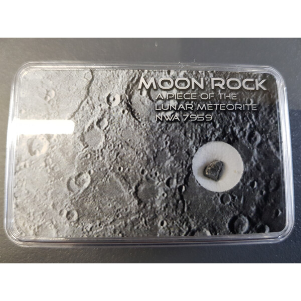 Oryginalny meteoryt księżycowy NWA 7959 L
