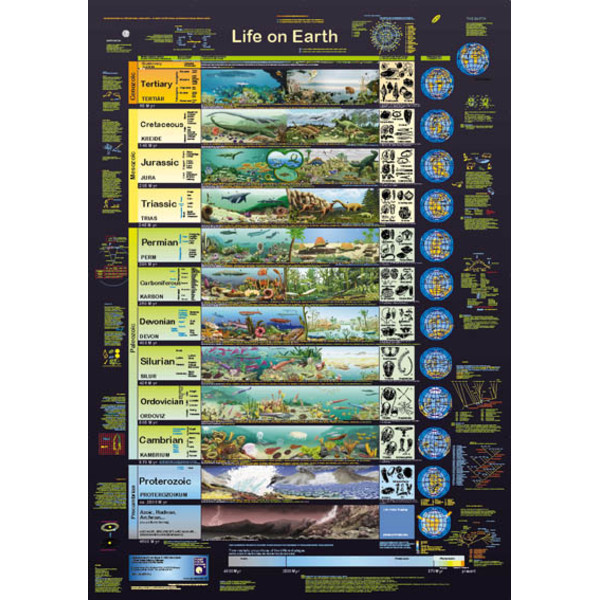 Planet Poster Editions Plakaty Life on Earth