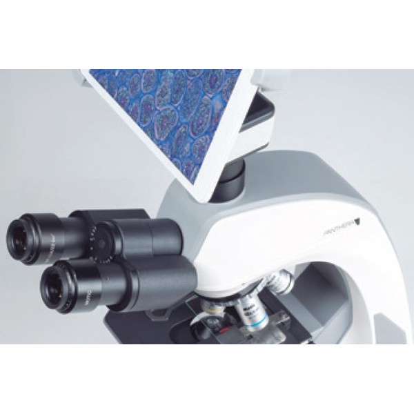 Motic Aparat fotograficzny Kamera BTX8, 5.0MP, 8