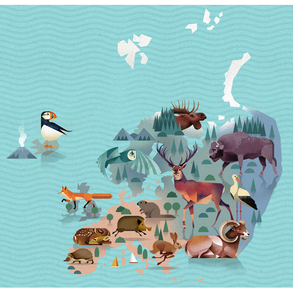 Marmota Maps Mapa świata World of Animals