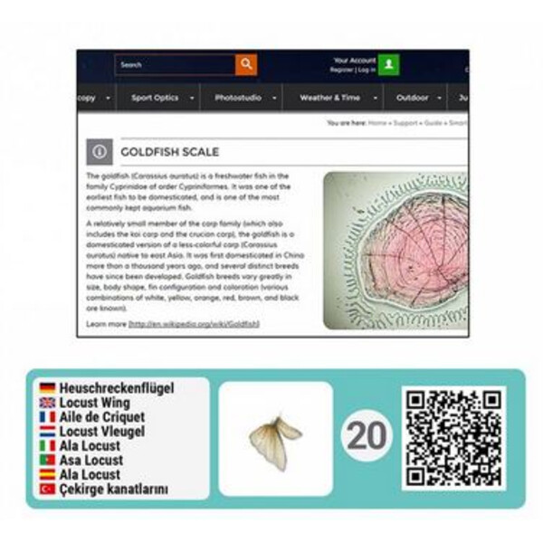 Bresser Junior Inteligentny zestaw akcesoriów do Mikroskopii z kodami QR