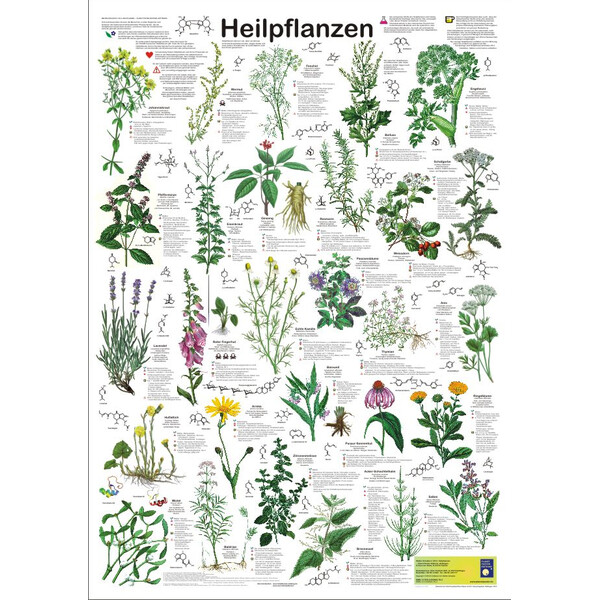 Planet Poster Editions Plakaty Heilpflanzen