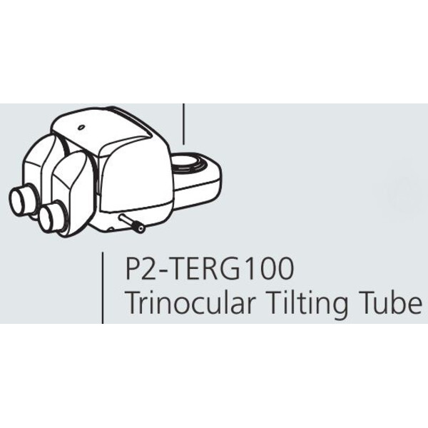Nikon Glowa stereo P2-TERG 100 trino ergo tube (100/0 : 0/100), 0-30°