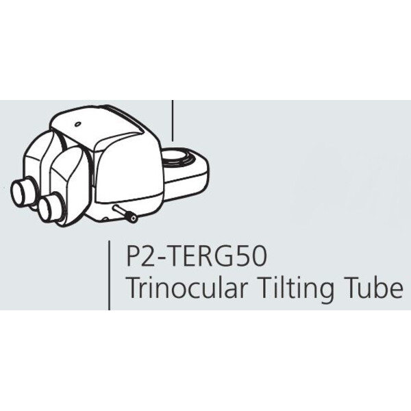Nikon Glowa stereo P2-TERG 50 trino ergo tube (100/0 : 50/50), 0-30°