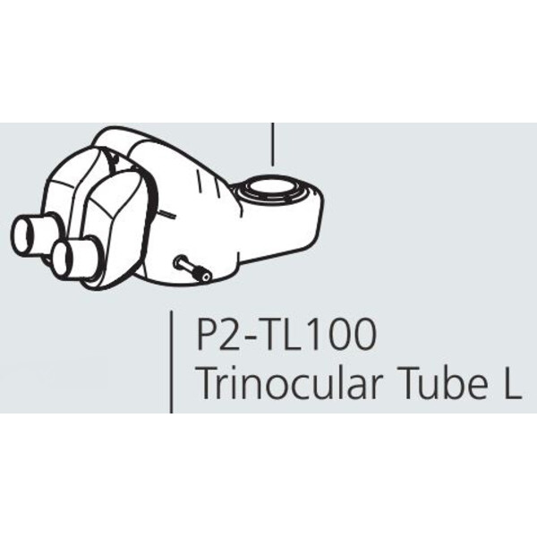 Nikon Glowa stereo P2-TL100 Trino Tube 100 (100/0 : 0/100)