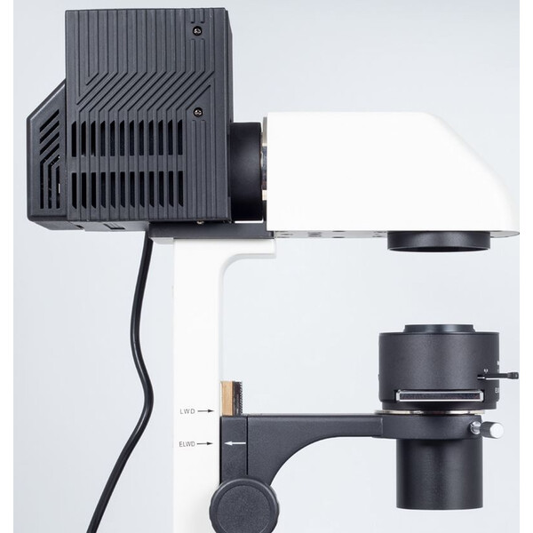 Motic Mikroskop odwrócony AE31E trino, infinity, CCIS Plan 4x LWD, Ph10x/20x40x, 100W Hal