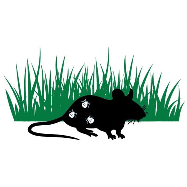 Thermacell Tick Repellent Protect
