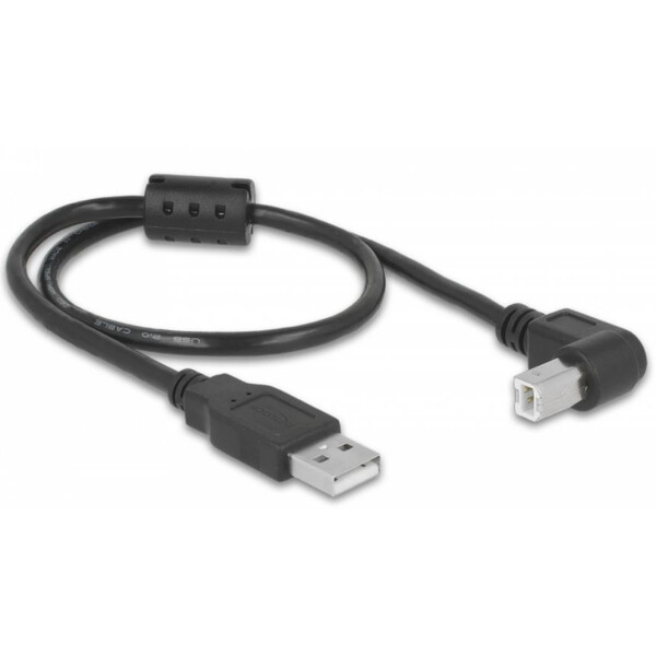 PegasusAstro Kabel Zestaw kabli USB 2x USB2.0 Typ-B 50cm