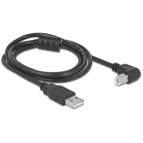 PegasusAstro Kabel Zestaw kabli USB 2x USB2.0 Typ-B 1m