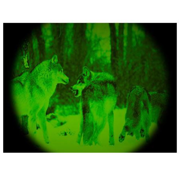 ATN Noktowizor Night Storm-2IA 3,5x50, kolor czarny
