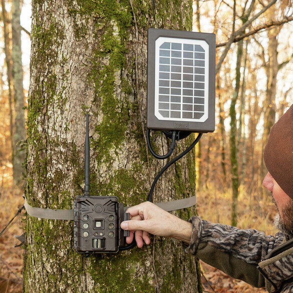 Bushnell Panel solarny Tan Universal, pudełko