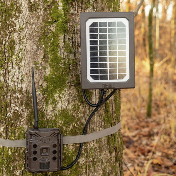 Bushnell Panel solarny Tan Universal, pudełko