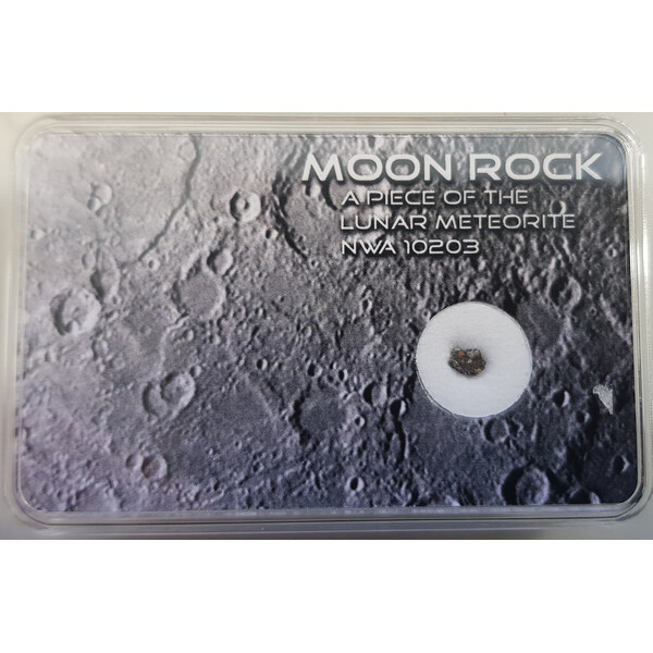 SR-Meteorites Oryginalny meteoryt księżycowy NWA10203