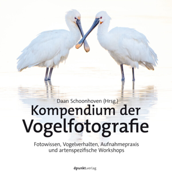 dpunkt Kompendium fotografii ptaków