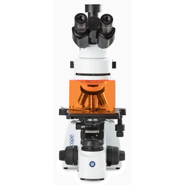 Euromex Mikroskop BS.3153-PLFi, trino, 40x-1000x