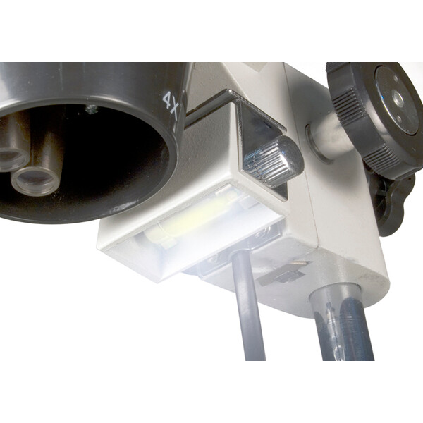 Levenhuk Stereomikroskopem 3ST 20-40x Halogen