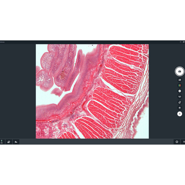 ZEISS Oprogramowanie Labscope 4.5 (Windows) – pobieranie
