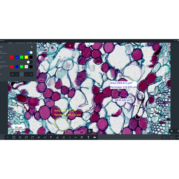 ZEISS Oprogramowanie Labscope 4.5 (Windows) – pobieranie