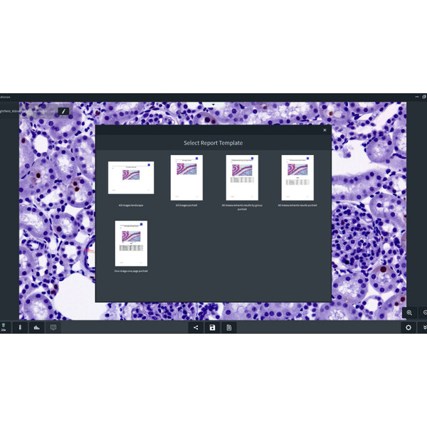 ZEISS Oprogramowanie Labscope 4.5 (Windows) – pobieranie